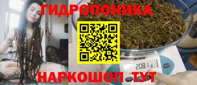 дмт Будённовск