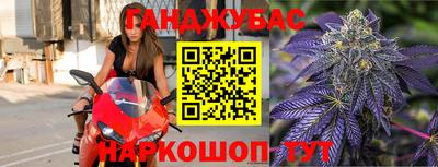 дмт Будённовск