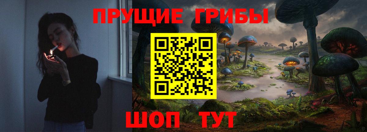 Псилоцибиновые грибы GOLDEN TEACHER Черногорск